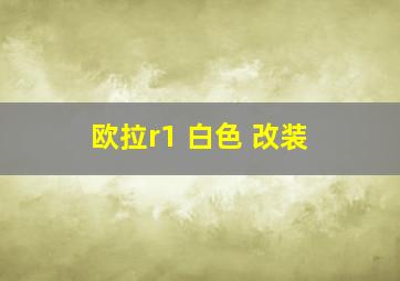 欧拉r1 白色 改装